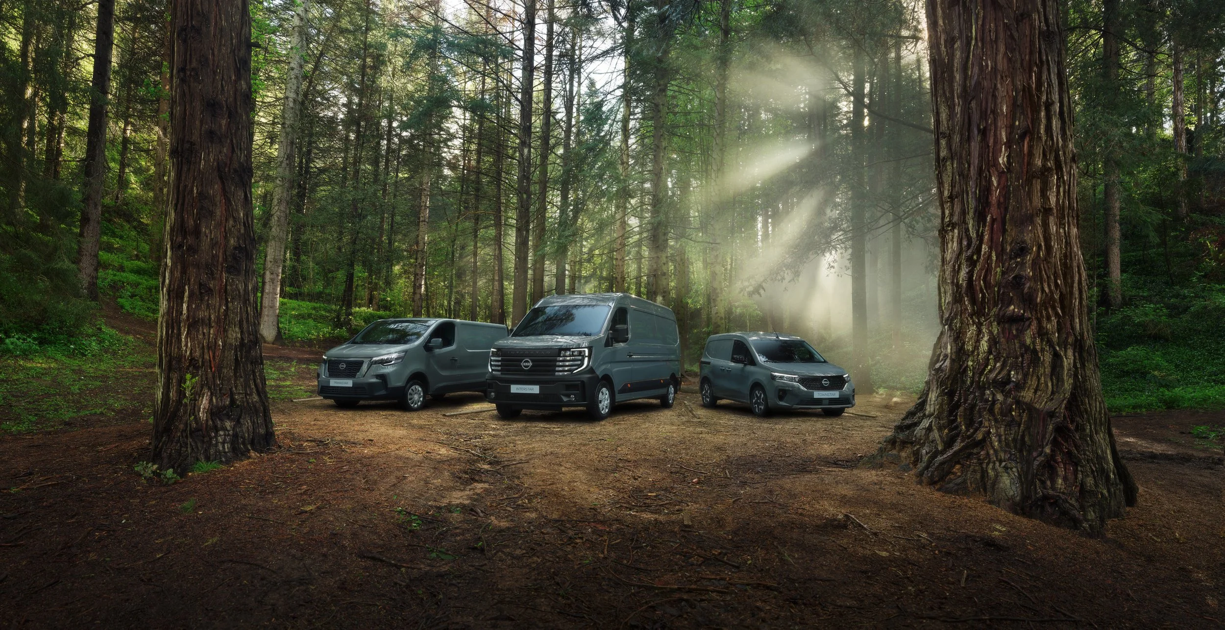 FOREST_RANGE_01_w3_SEB_1.jpg