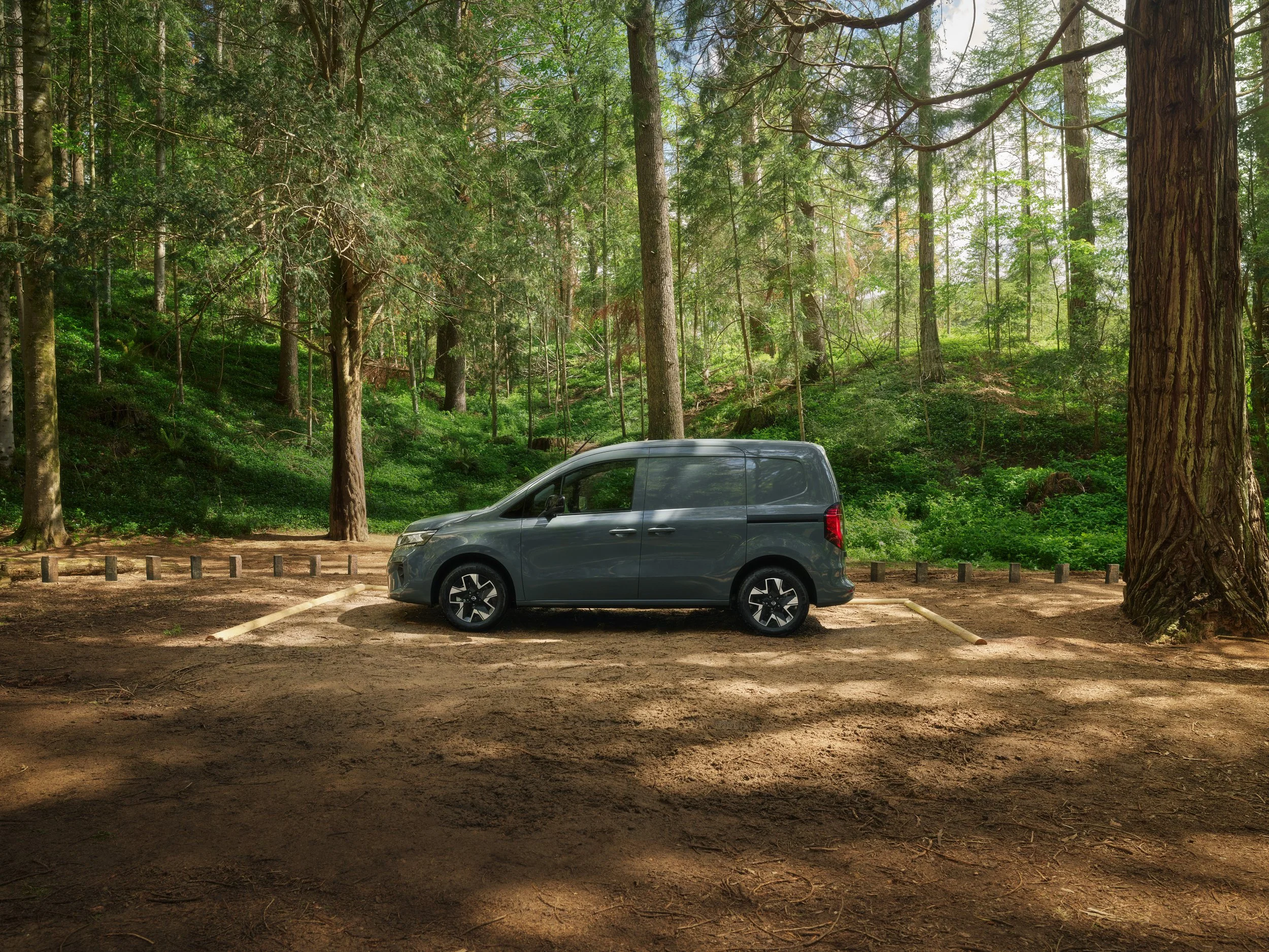 FOREST_TOWNSTAR_STATIC_PROFILE_w1.jpg