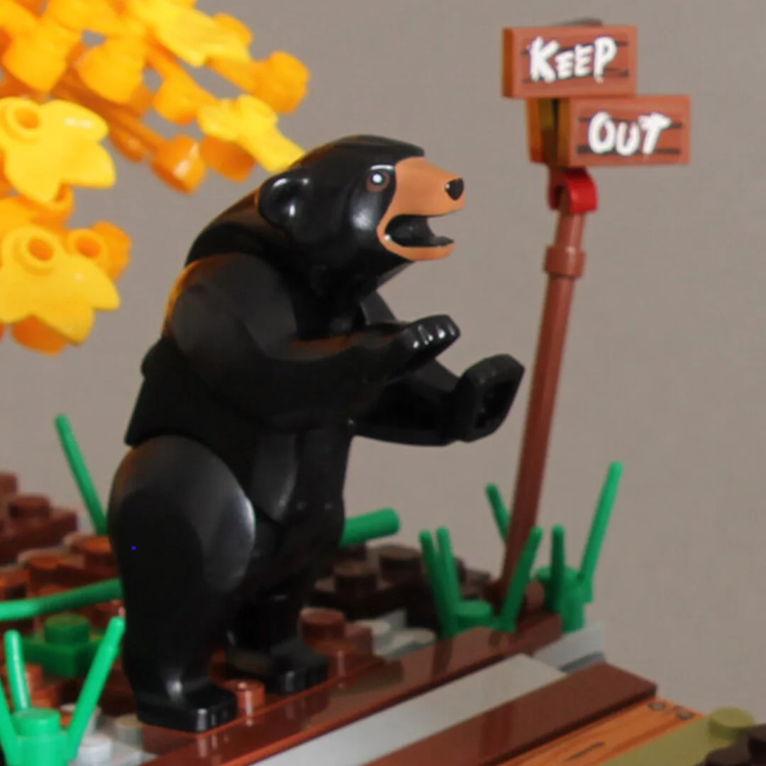 Don't Mess With This Bear