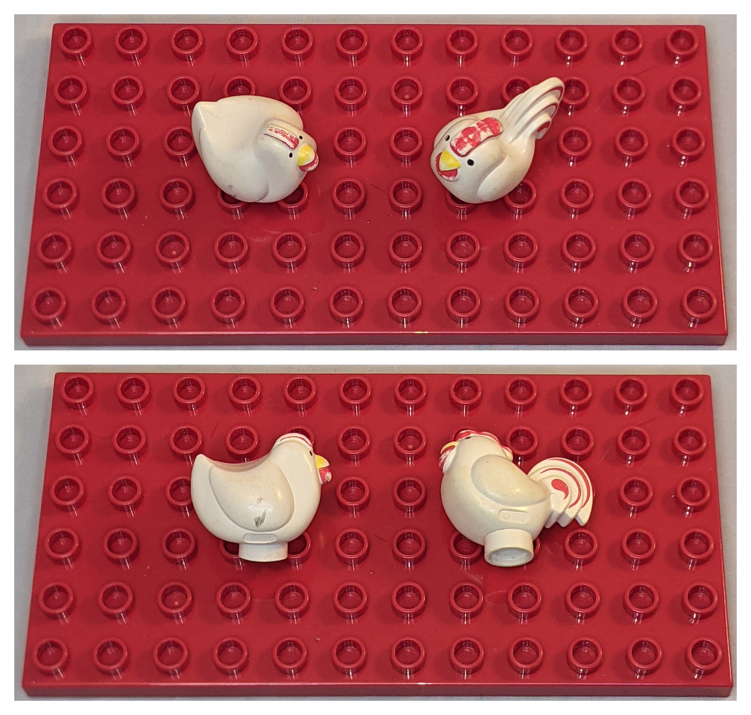 Creature Examples. Hen and Cockeral.jpeg