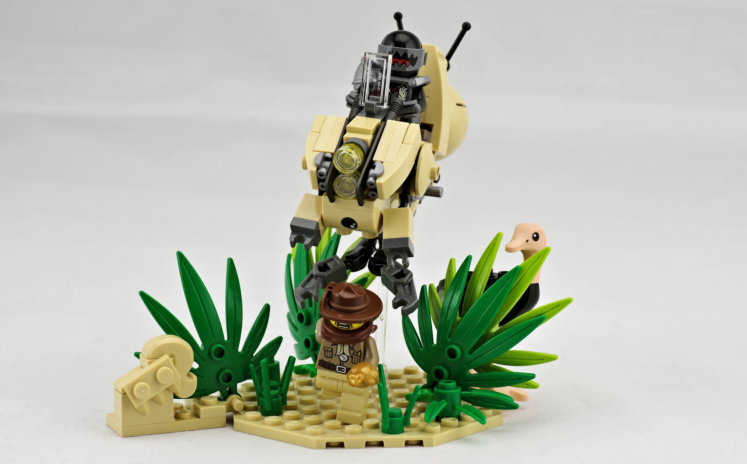 51126618899_7700e00fd7_o.png