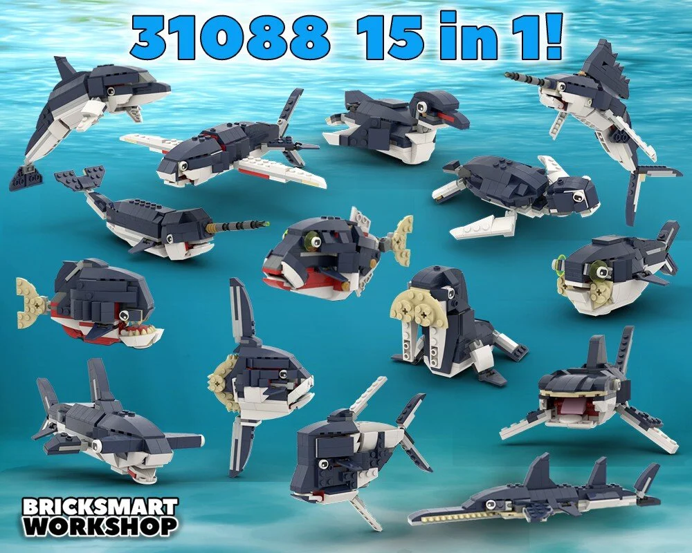 sharks alternate.jpg