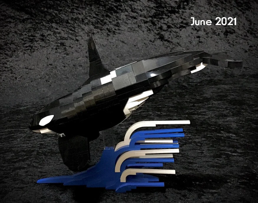 虎鲸 V4 2021 年 6 月