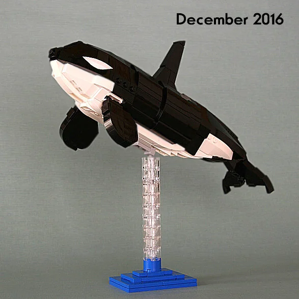 D-Orca-2016.jpg