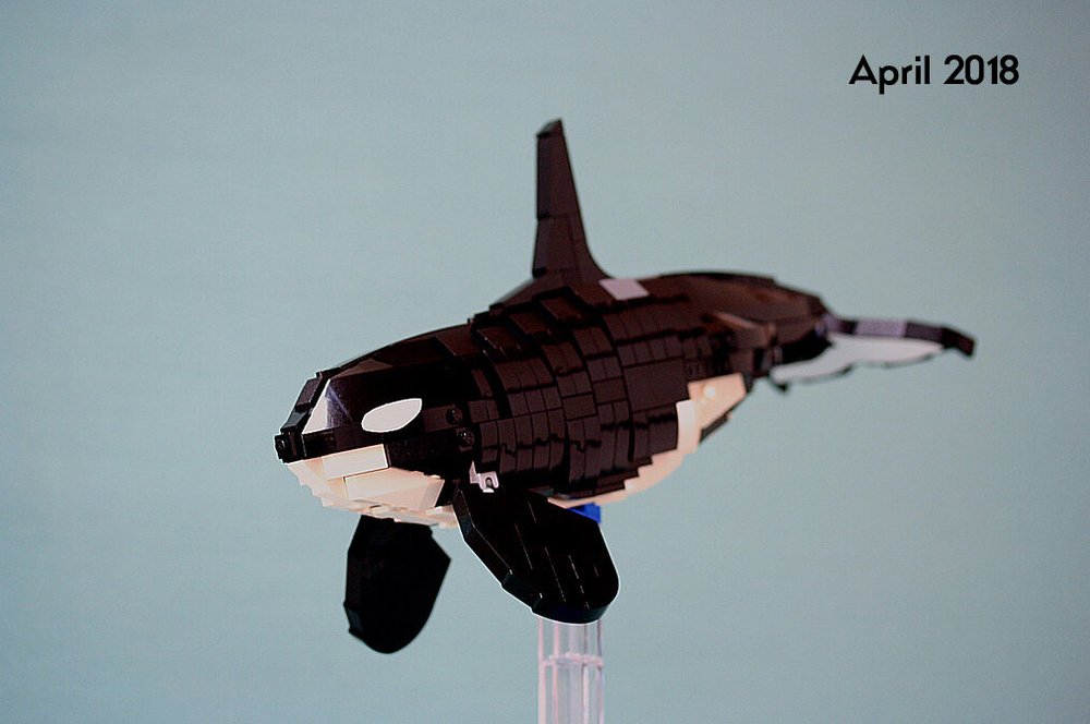 D-Orca-April 2018.jpg