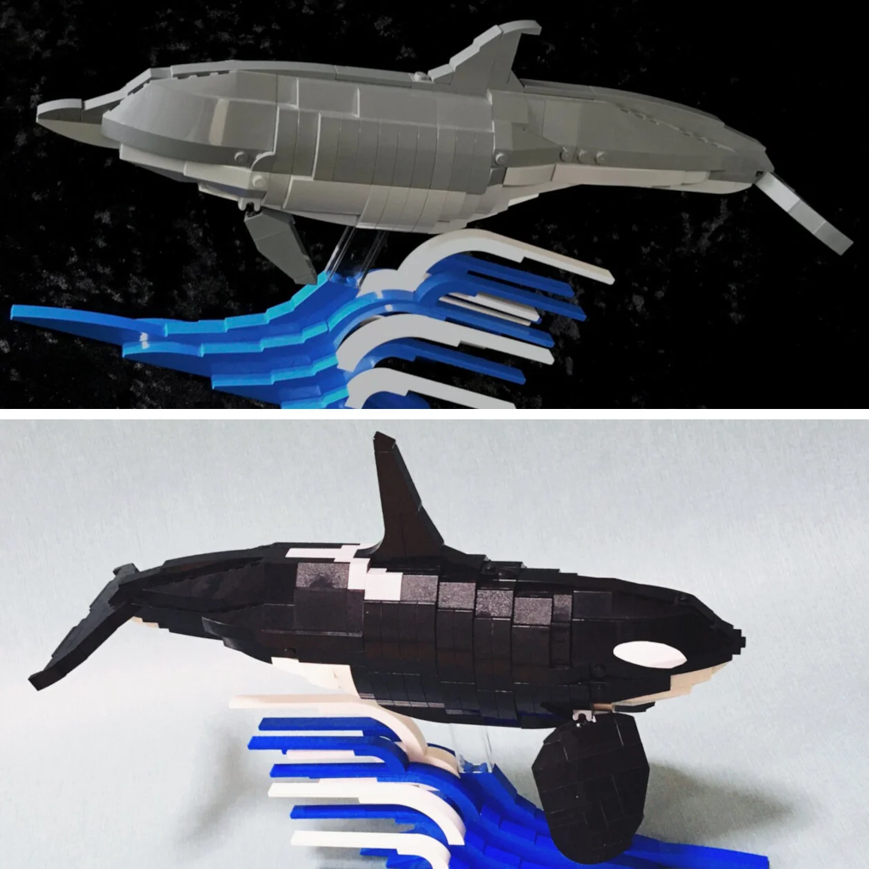 The Life Aquatic with Ken Ito 暁工房