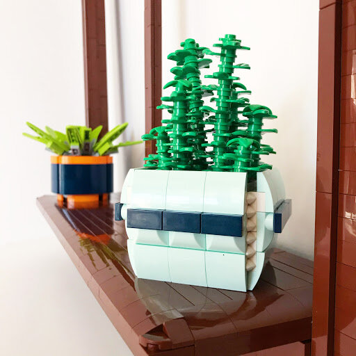 Maria Succulents and Window Frame.jpeg