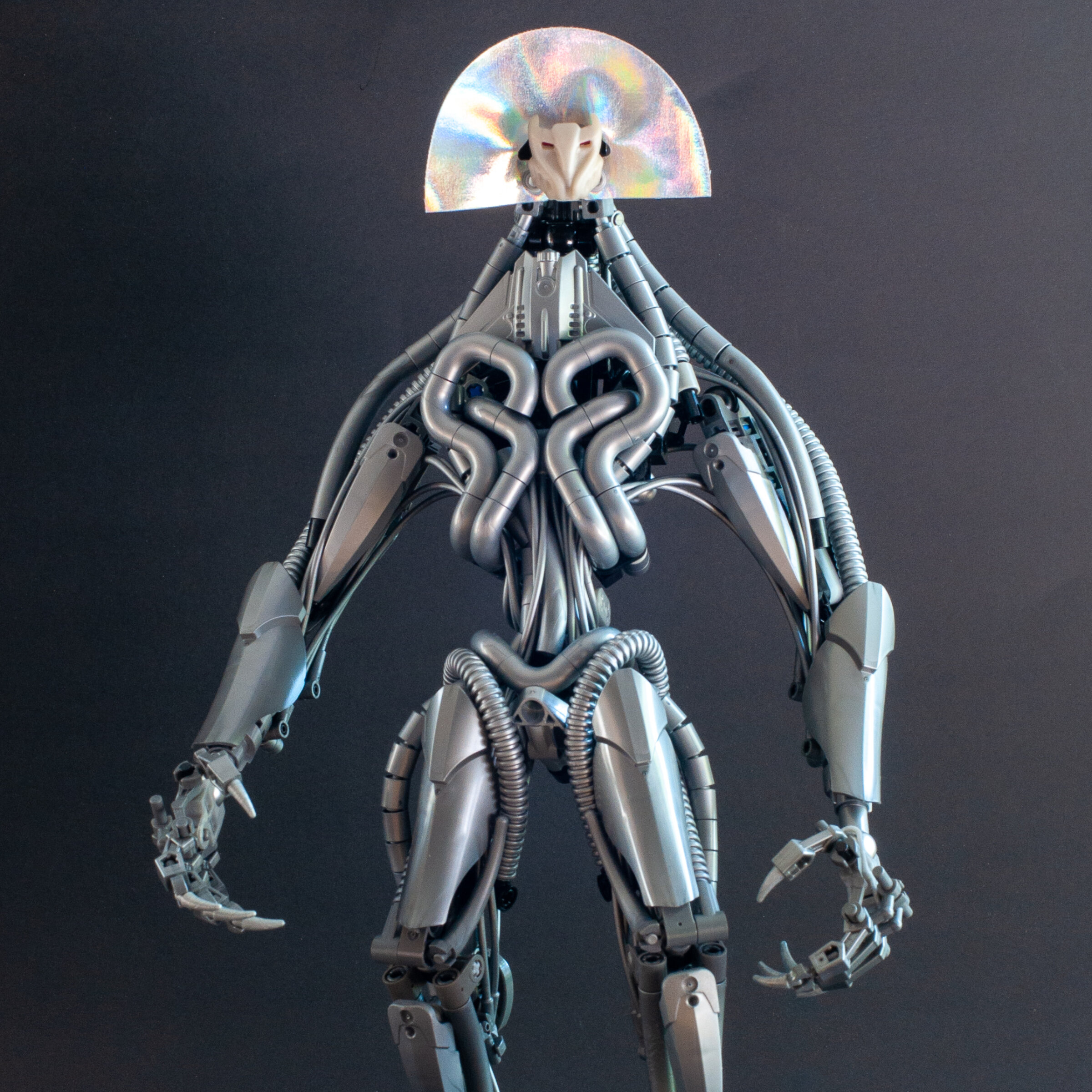 Udaar the Totally Tubular
