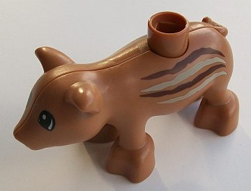 Wild pig