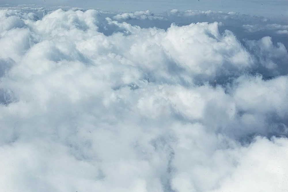 platypus-sky.jpg