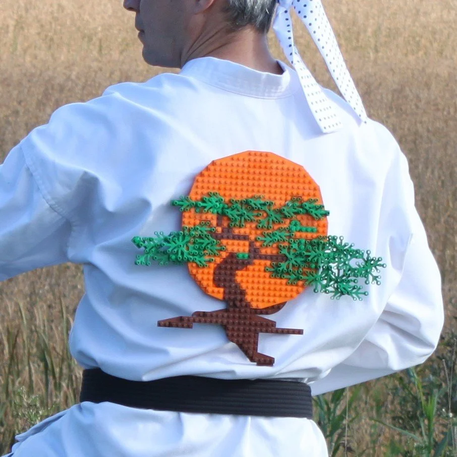 The Karate Kid of Québec: An Interview with Philippe Moisan