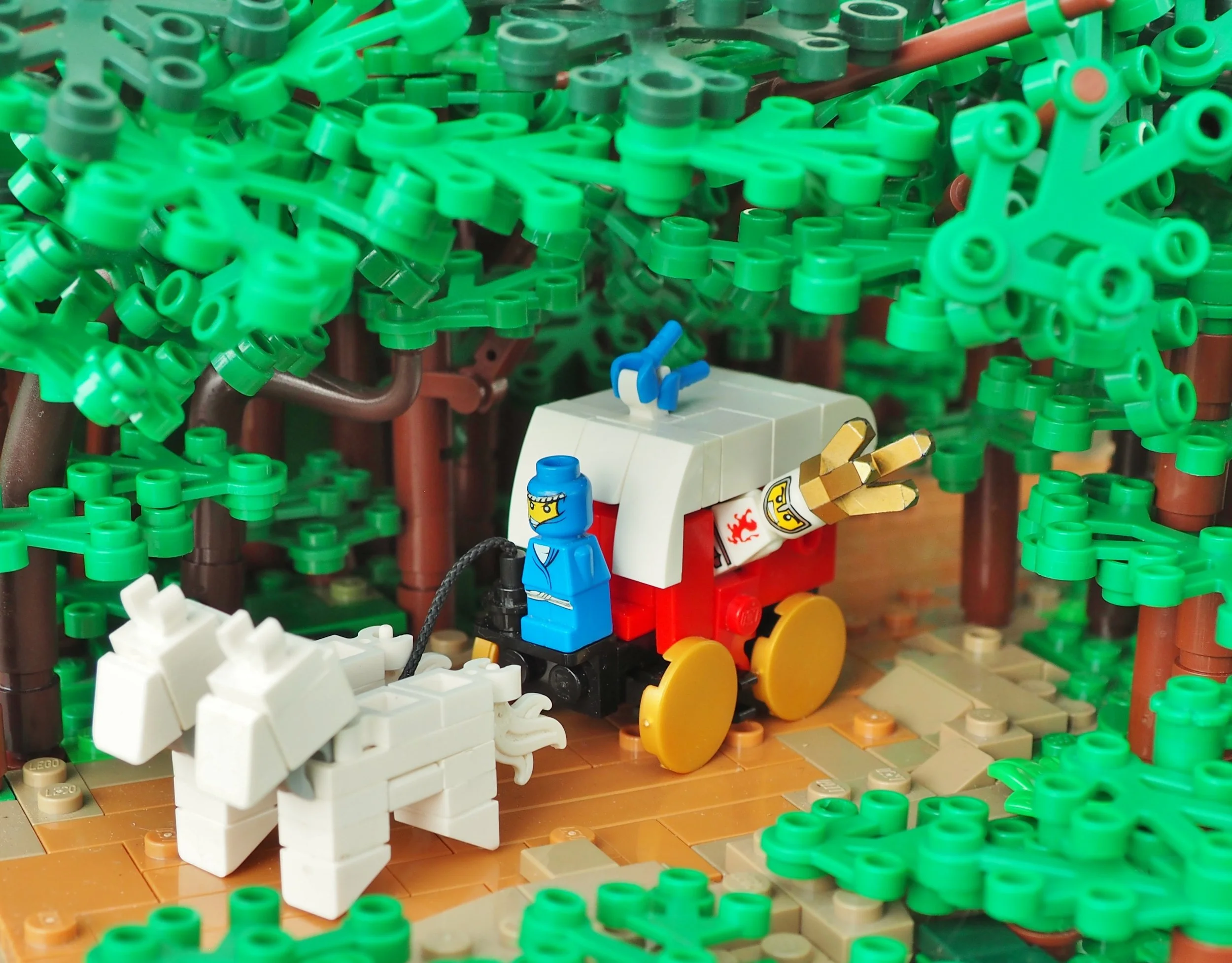 2018 10-29, A Forest Drive.JPG