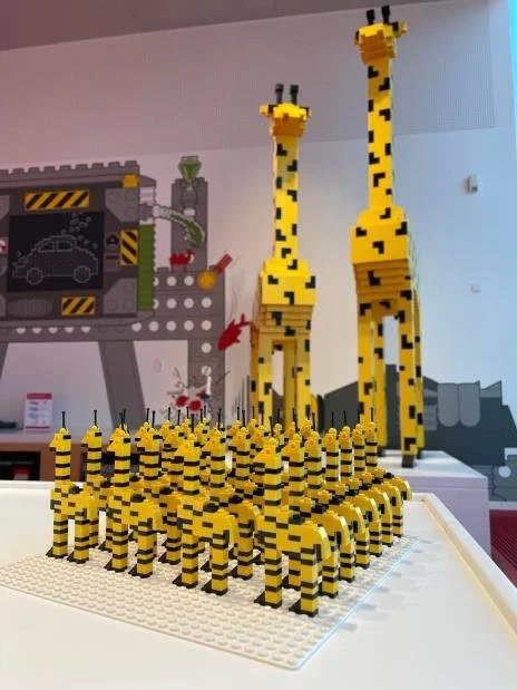 40503 Dagny Holm Master Builder