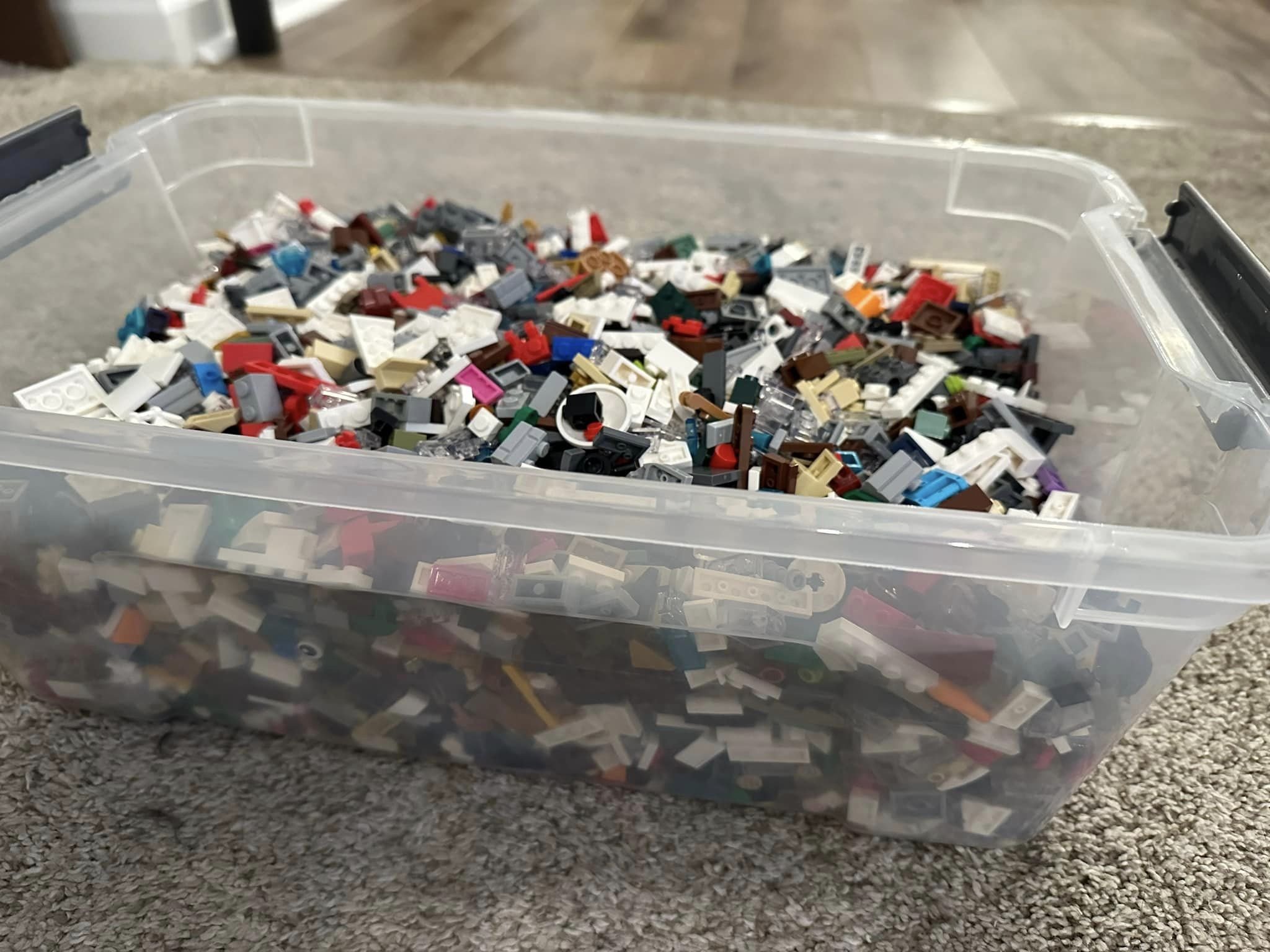 LEGO Sorting (44).jpg