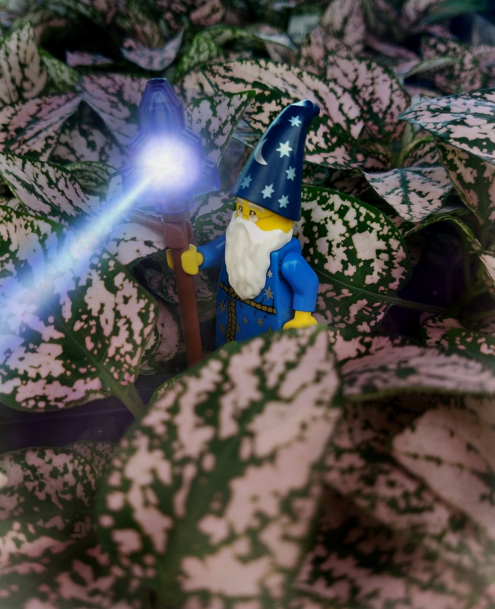 LegoWizard.jpg