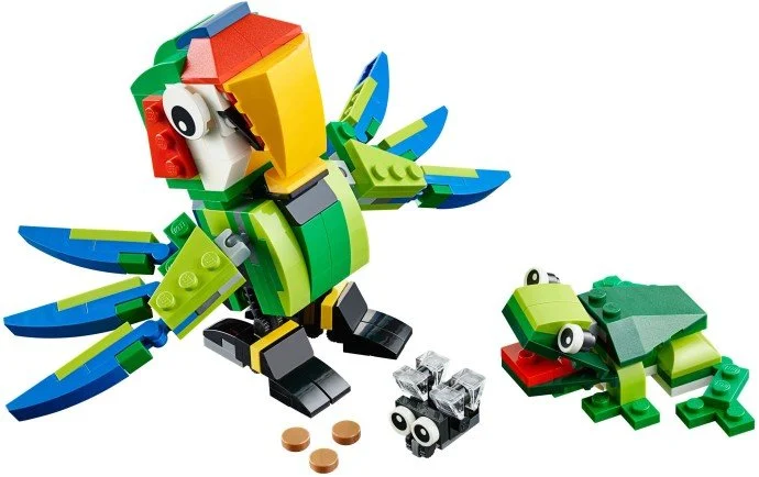 31031: Rainforest Animals