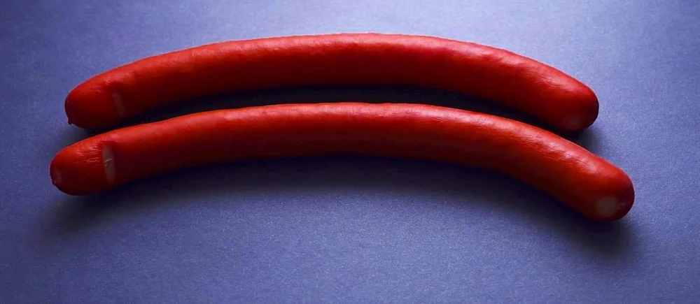 Danish+Sausage.jpg