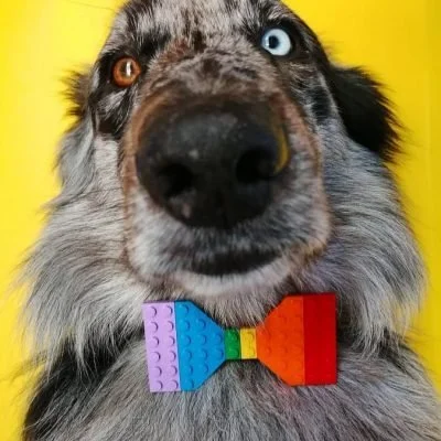 LEGO Fashion: Brick-Built Bow Ties