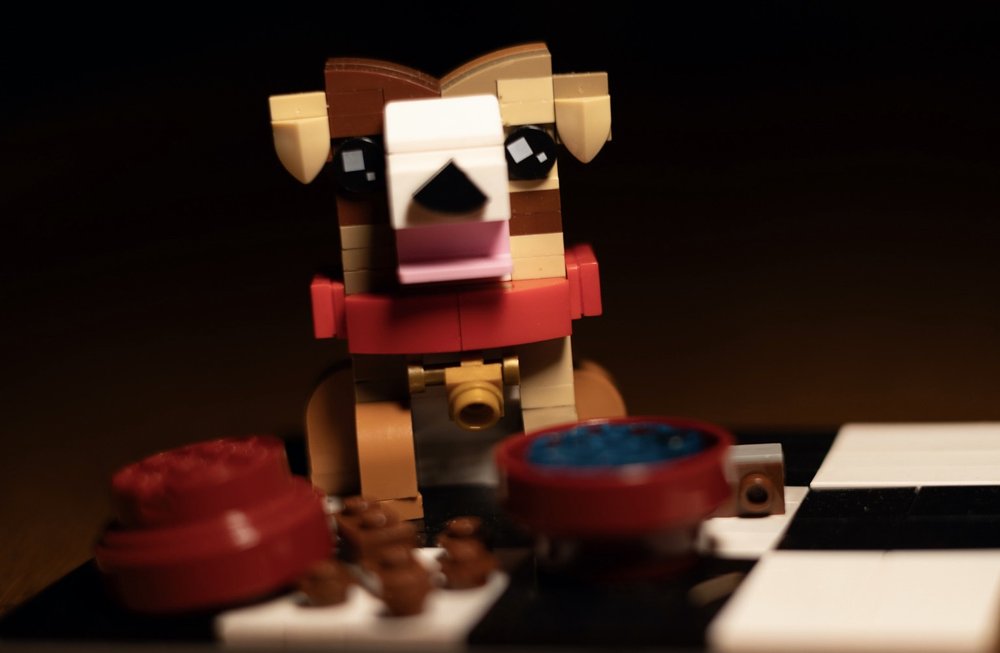 A33D6B7F-8B97-4A5B-9B57-F37186B090D0_1_201_a.jpeg