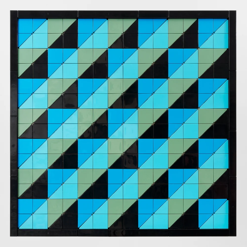 Two-Dimensional Panel