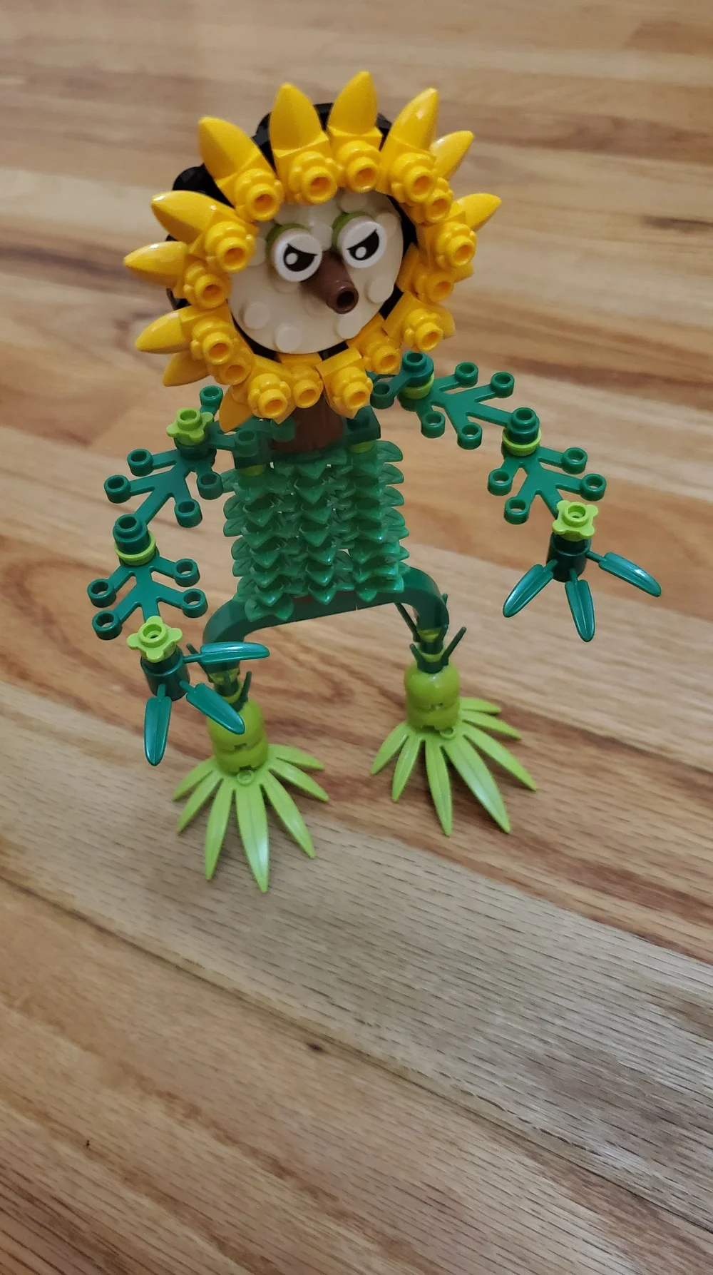 Who you callin' Sunny - Kaitlyn.jpg