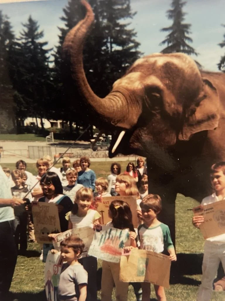 A visit from Tina the Elephant at my school Sports Day in the 80's