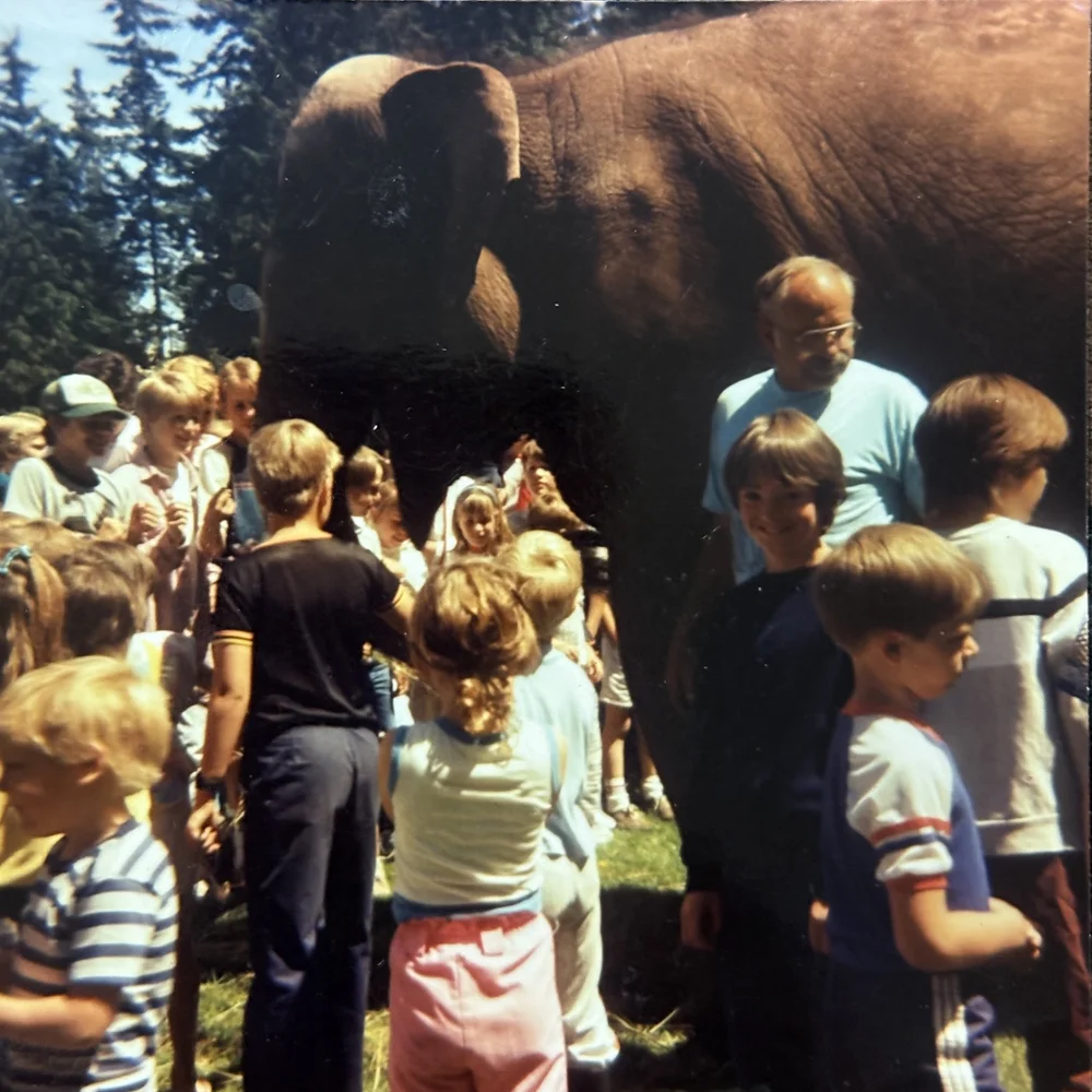 Tina the Elephant was the talk of the town back then
