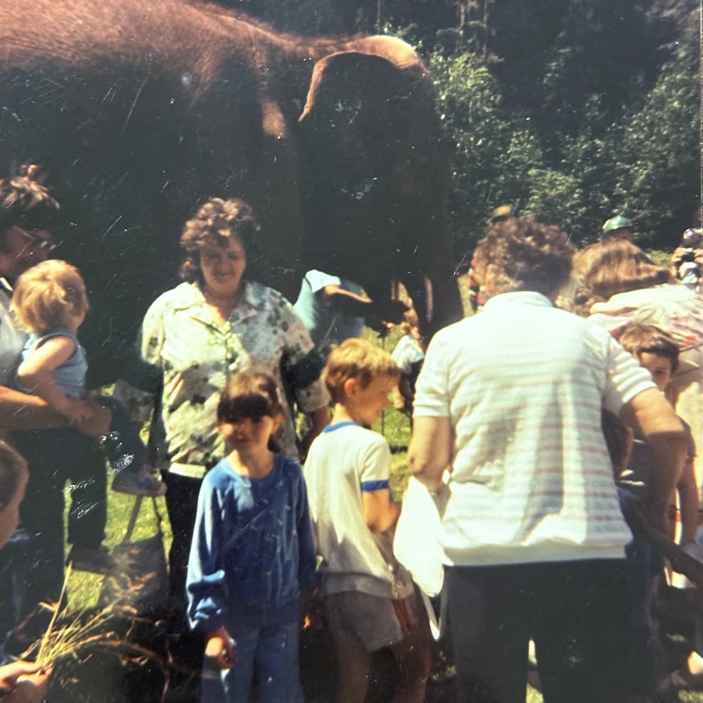 The whole community came out to meet the elephant