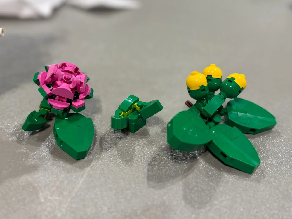 Tiger+Review+-+BrickNerd+%288%29.jpg