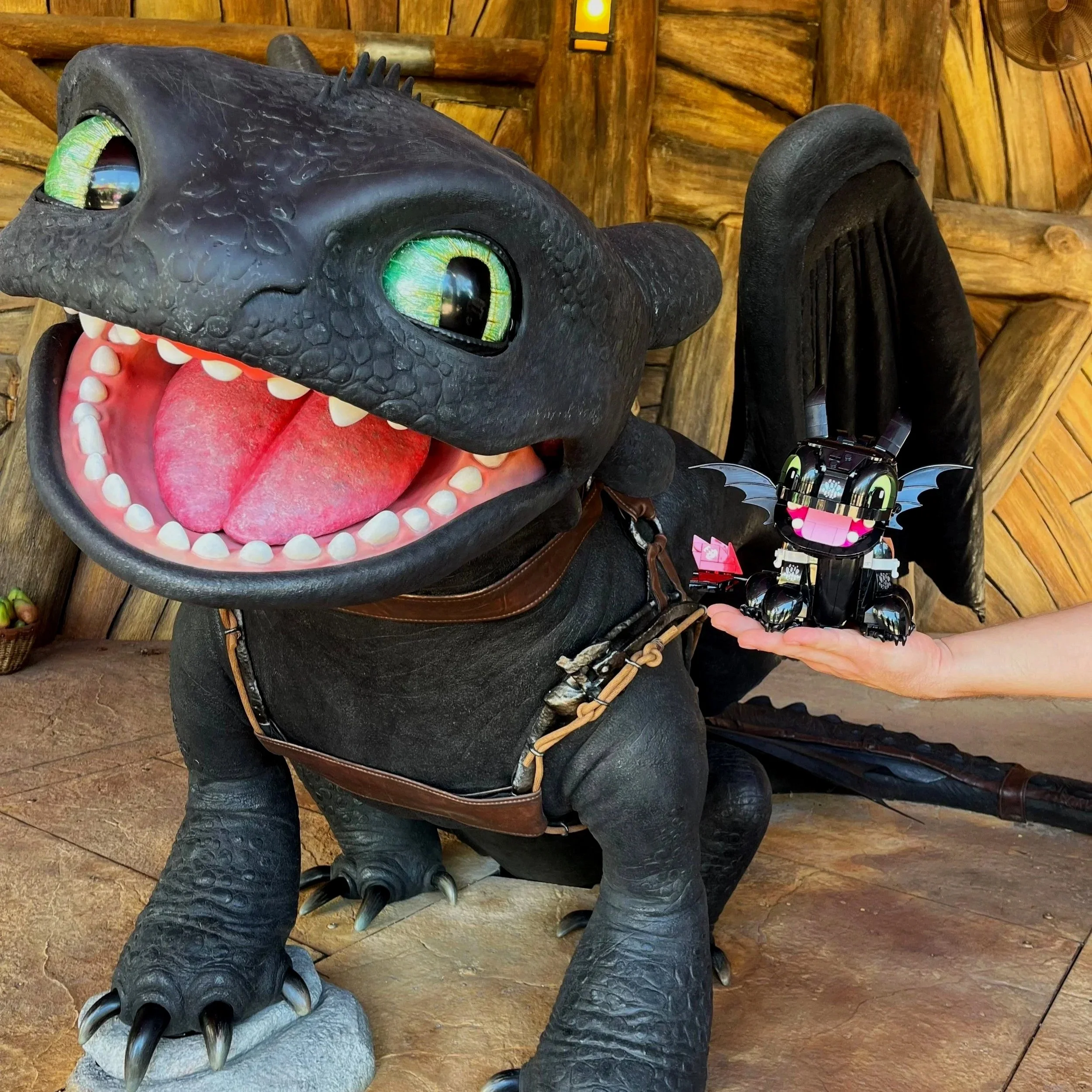 Toothless Meets Toothless: Exploring Berk at Epic Universe