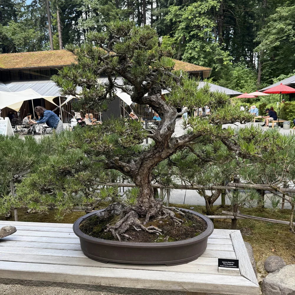 2025-07-21 14.30.17.jpg