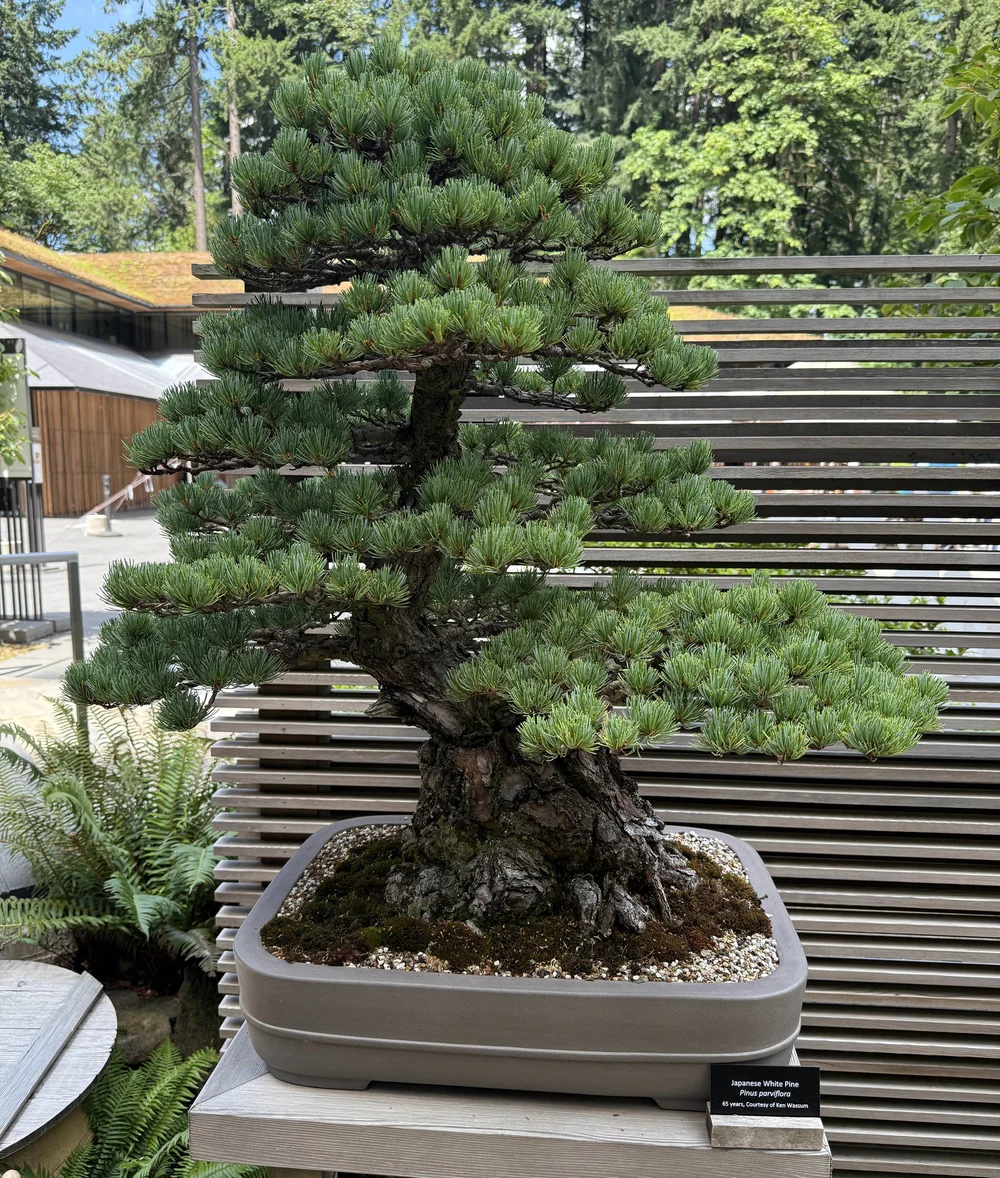 2025-07-21 14.32.07.jpg