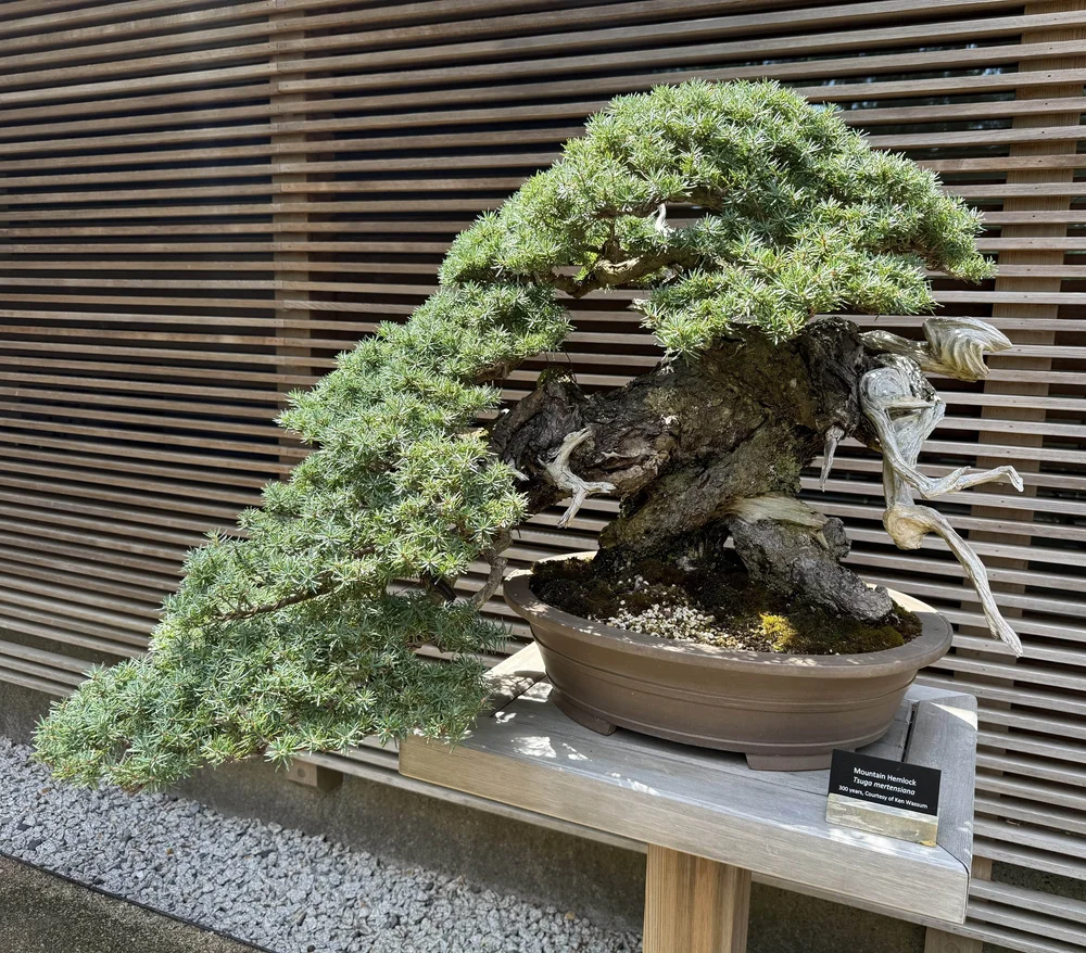 2025-07-21 14.32.45.jpg