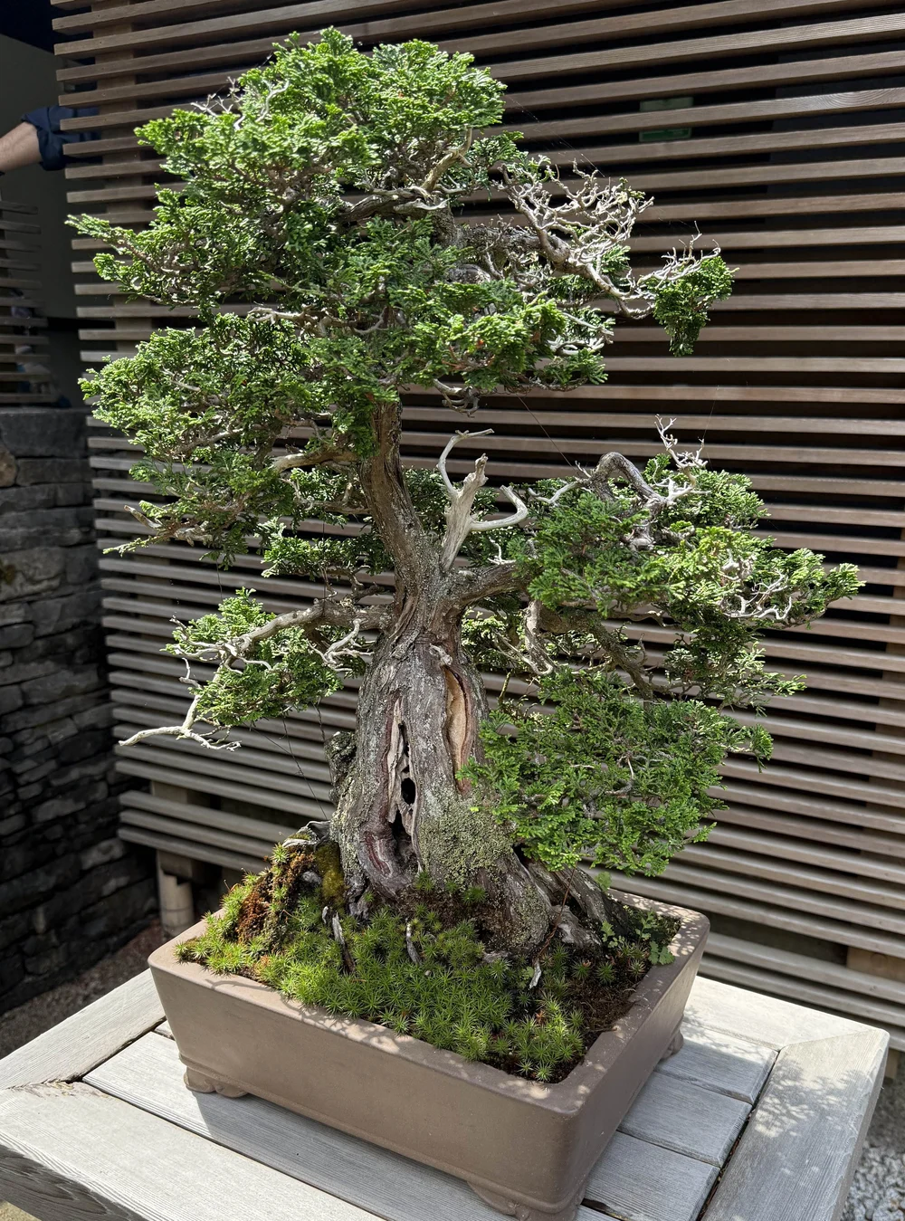 2025-07-21 14.33.07.jpg