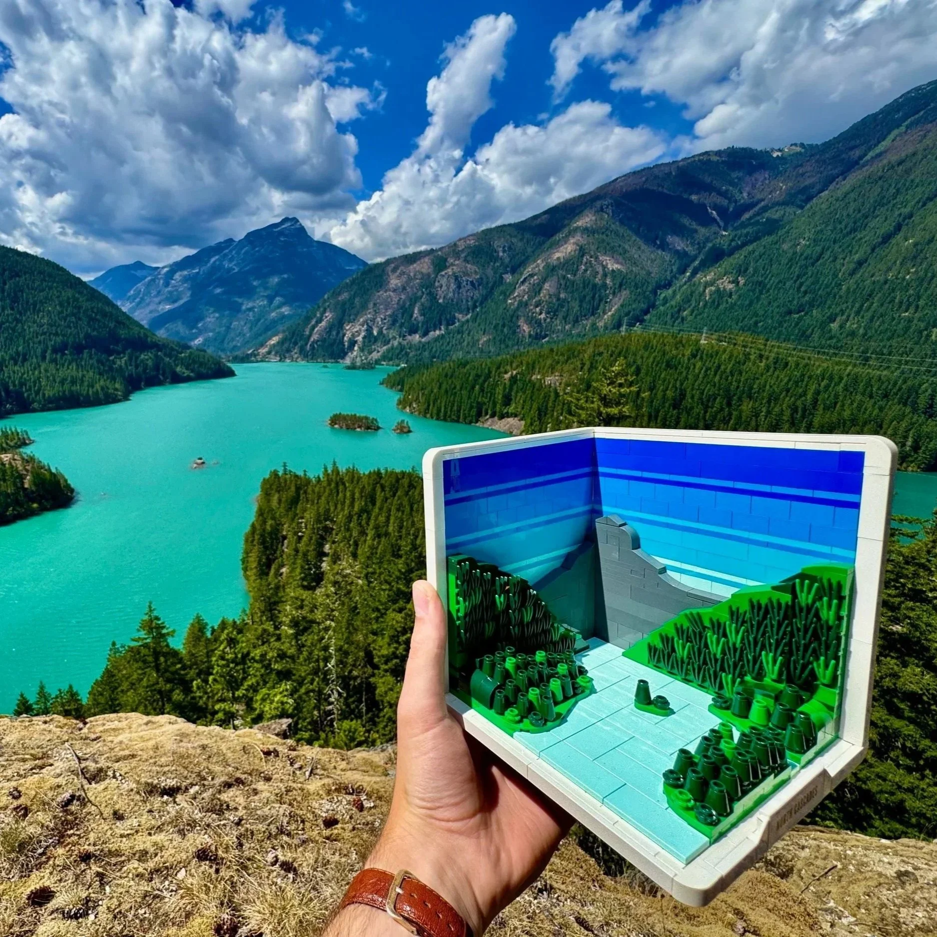 Parks and Recreation: RebelLUG’s National Parks Collab