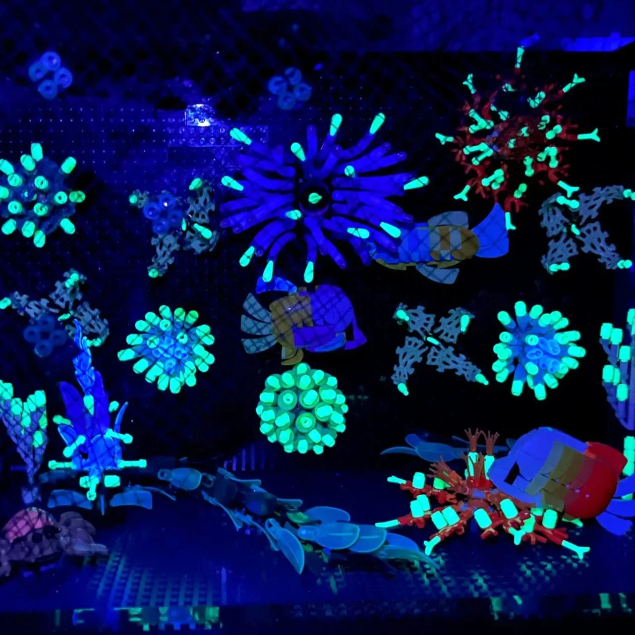 For Fish Sake! A Deep Dive into the LEGO Tropical Aquarium