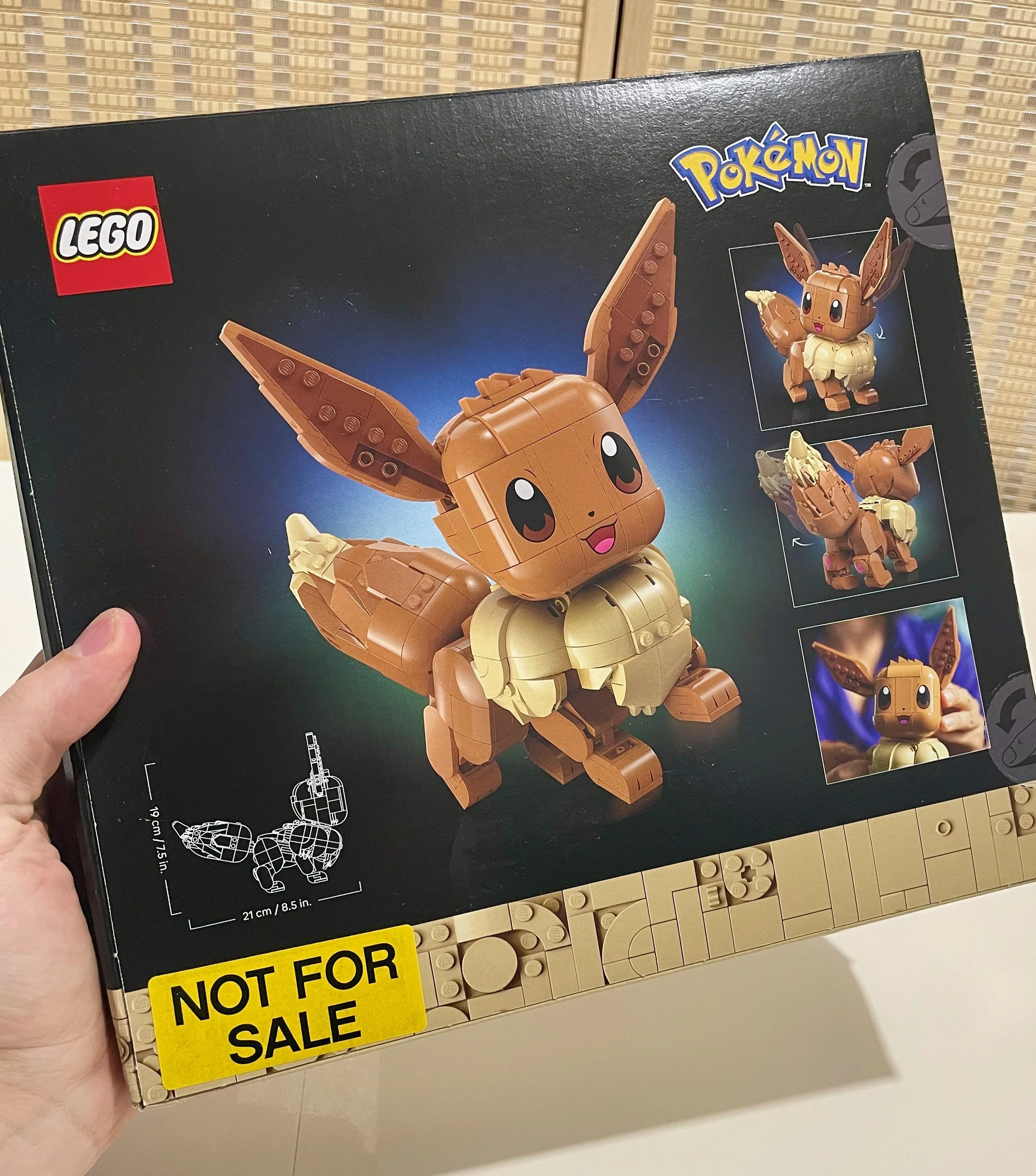 BN_Pikachu_7.jpeg