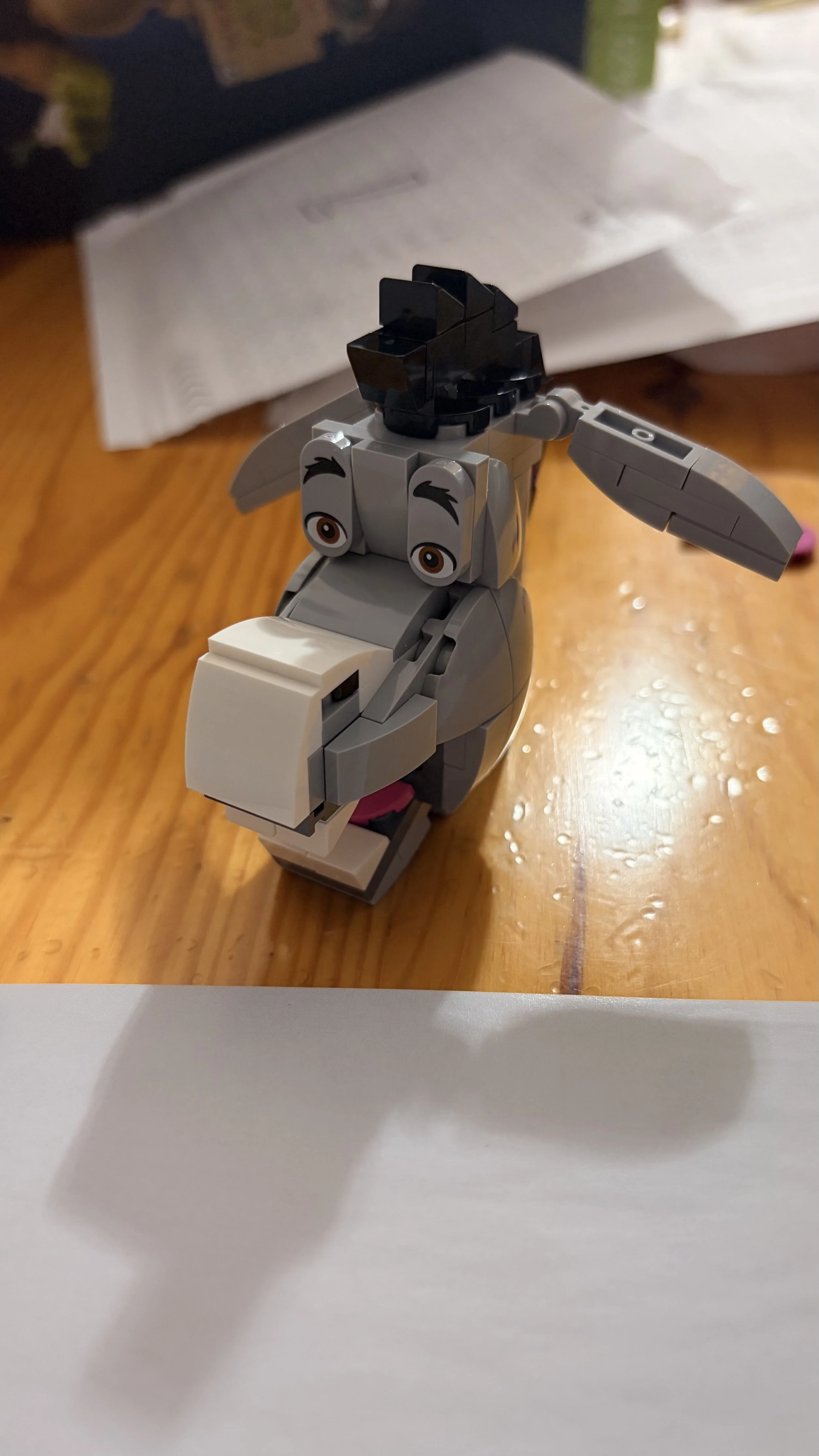 IMG_7145.jpeg