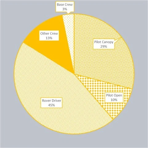 Roles for Yellow Minifigures (Copy)