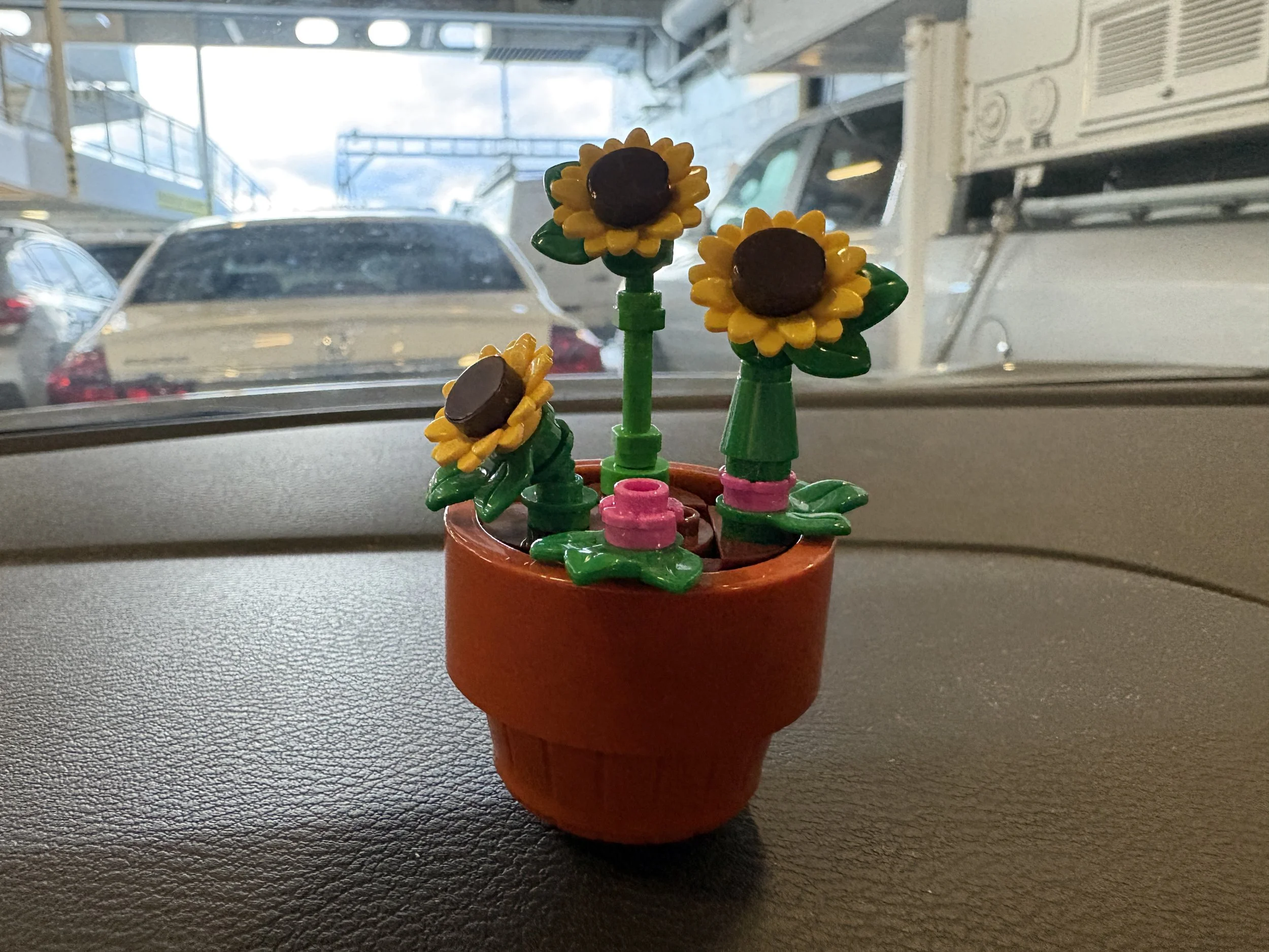 The iconic flowers