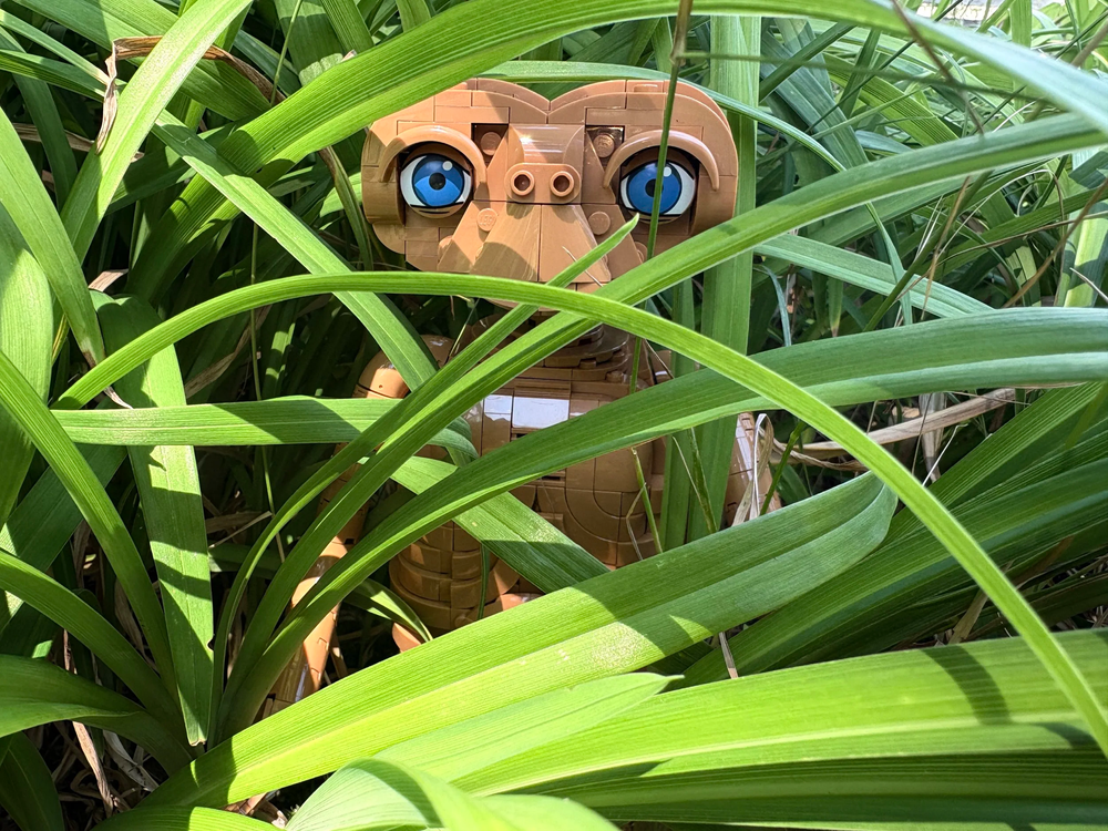 When Elliott first sees E.T. through the corn stalks