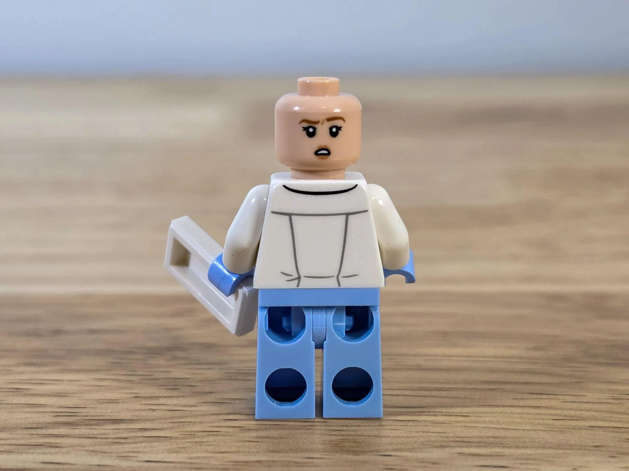 LEGO Ideas 21369 X-Files - BrickNerd (34).jpg