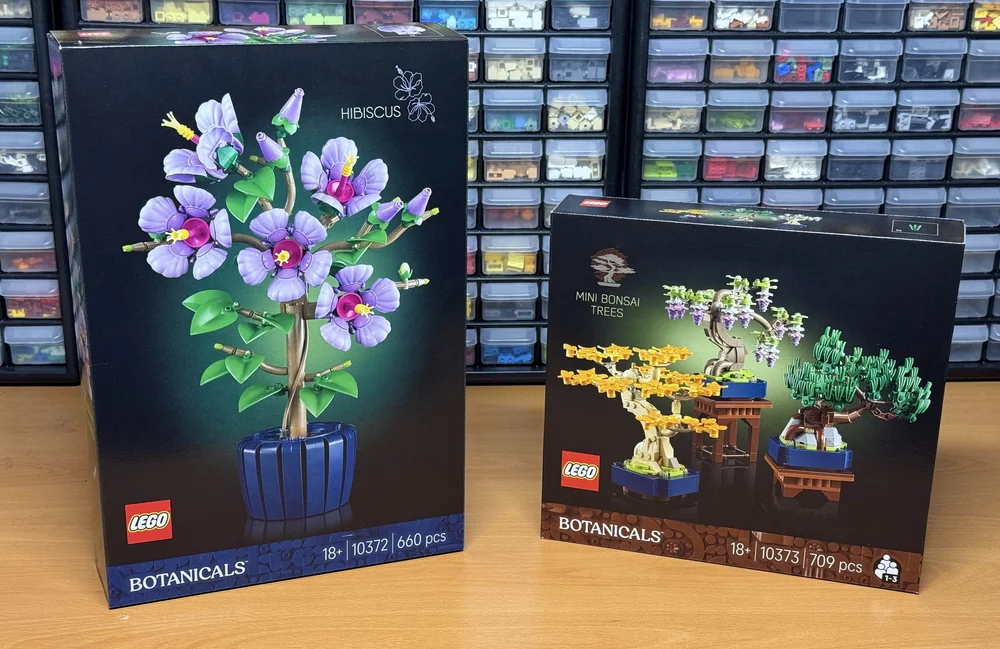 Sets Overview