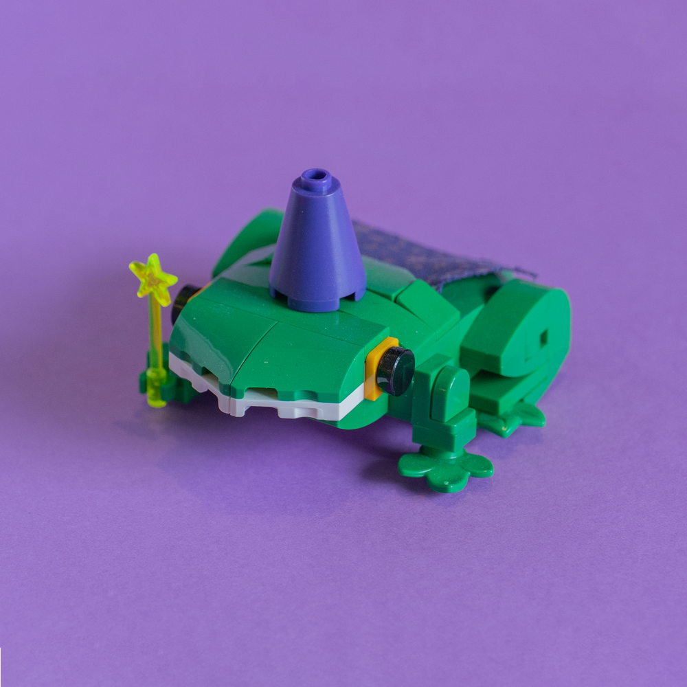 Evan Wizard Frog 3 Edited