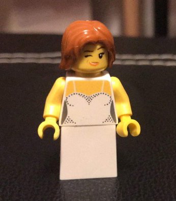 krybdyr overflade uld A Wedding With a Little Touch of LEGO - BrickNerd - All things LEGO and the  LEGO fan community