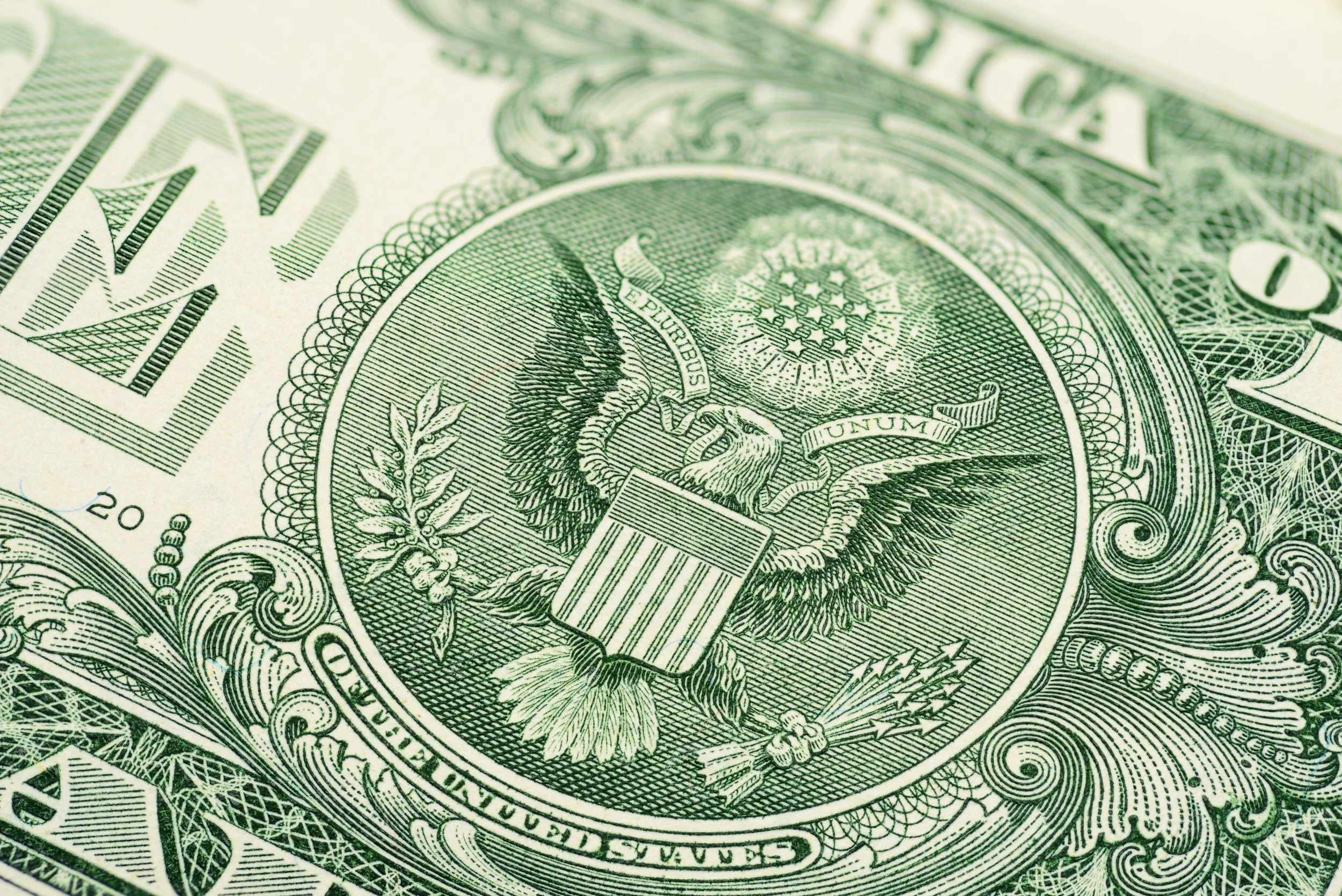 Dollar official. Изображение доллара. Доллар и евро. Us dollar. Купюра 500 долларов сша.