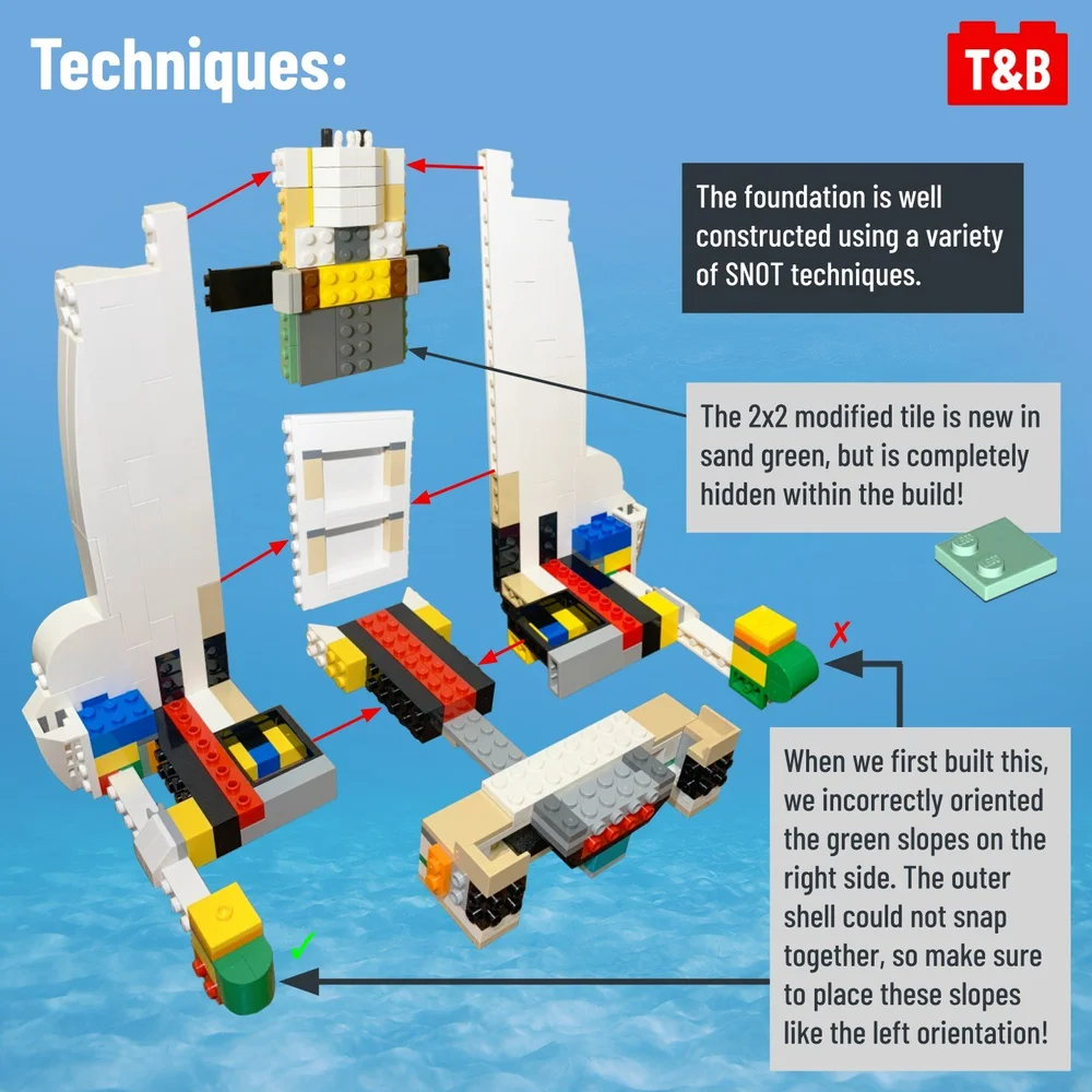 343723346 787888799343382 2059955005423429065 N