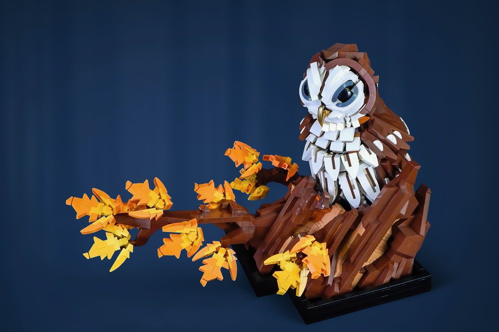 53932554469 D672d815fc O