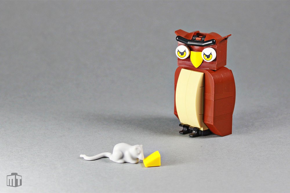 26012454777 2a812c1ccb O