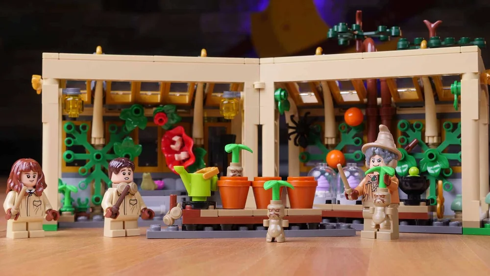 Image 5   Mandrakes 2025